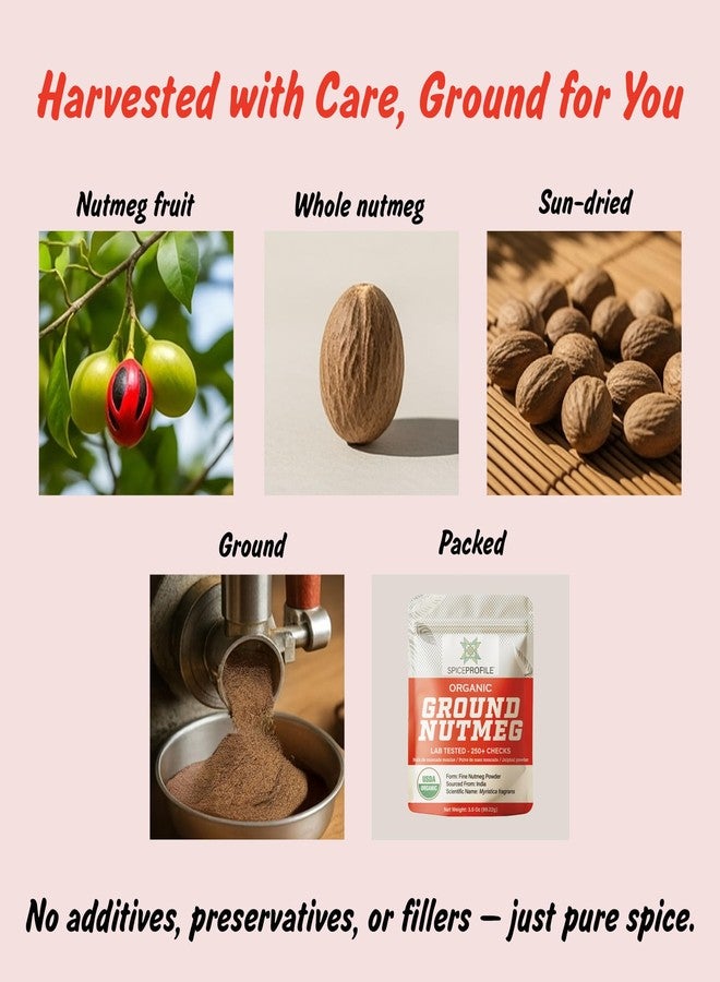 Spice Profile USDA Organic Ground Nutmeg, Lab Tested for Heavy Metals, Resealable 3.5 oz Pouch, Jaiphal Powder, Nuez Moscada - Image 3