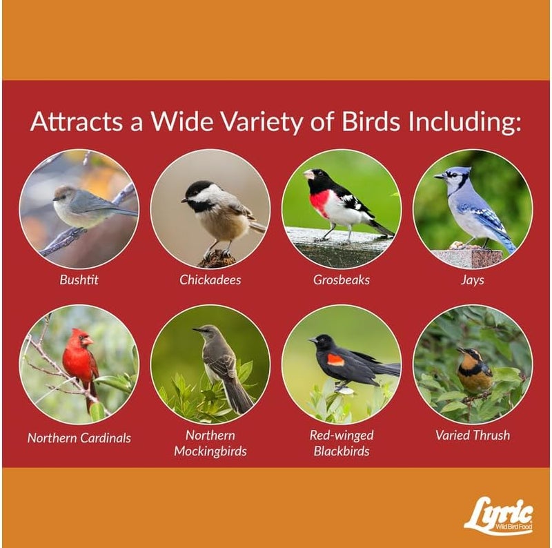 Lyric Cardinal Wild Bird Seed - Sunflower & Safflower Premium Bird Food Mix for Cardinals, Grosbeaks & Blue Jays - 18 lb bag - Image 3