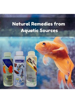 Aquatic Remedies Combo Of 3- (Bactonil + General Cure + Paracidol) 220Ml Each | Anti-Bacterial Effective Fish Skin Treatment Suitable For Freshwater | Aquarium Water Medicine - pzsku/Z018452740F0DE7308947Z/45/_/1728309086/7173e34b-6ed4-4b75-a544-d0e4b7dcd096