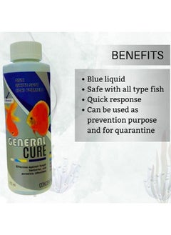 Aquatic Remedies Combo Of 3- (Bactonil + General Cure + Paracidol) 220Ml Each | Anti-Bacterial Effective Fish Skin Treatment Suitable For Freshwater | Aquarium Water Medicine - pzsku/Z018452740F0DE7308947Z/45/_/1728309123/e160d4dd-9508-42e7-9f7d-15abe3011d02