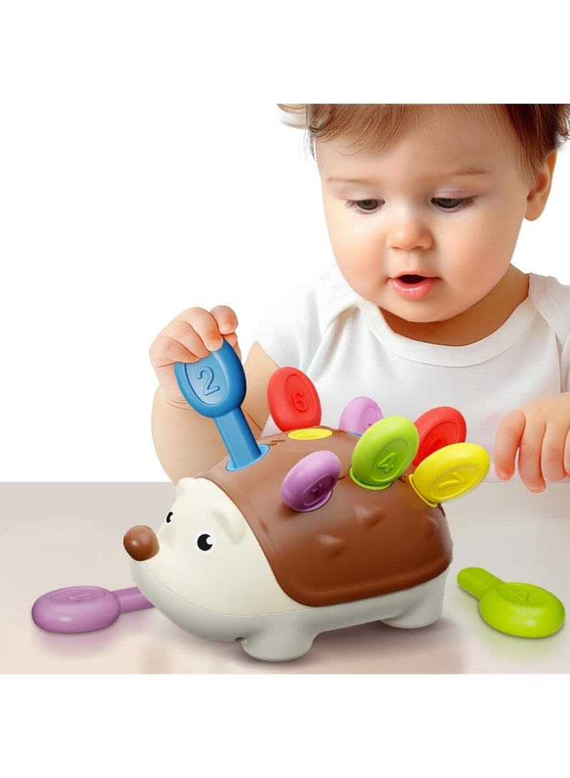 رحلة التنوعD ألعاب تنمية المهارات الحركية الدقيقة للأطفال الصغار من 1 إلى 3 سنوات، مجموعة تعليمية مونتيسوري على شكل قنفذ صغير، لعبة تعليمية لفرز الأرقام، هدايا تنمية للأطفال الرضع من 12 شهرًا فما فوق، للأولاد والبنات والأطفال الرضع من عمر سنة إلى 3 سنوات - Image 2