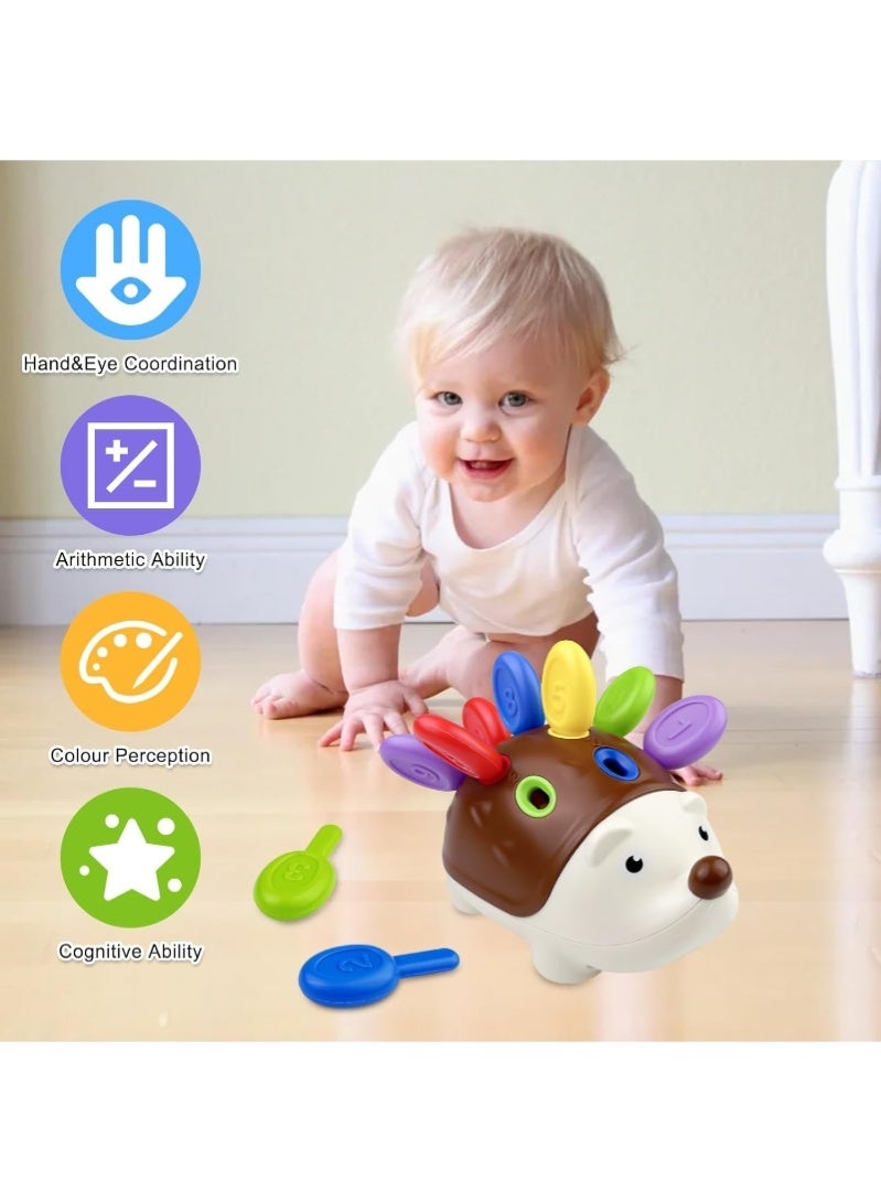 رحلة التنوعD ألعاب تنمية المهارات الحركية الدقيقة للأطفال الصغار من 1 إلى 3 سنوات، مجموعة تعليمية مونتيسوري على شكل قنفذ صغير، لعبة تعليمية لفرز الأرقام، هدايا تنمية للأطفال الرضع من 12 شهرًا فما فوق، للأولاد والبنات والأطفال الرضع من عمر سنة إلى 3 سنوات - Image 5