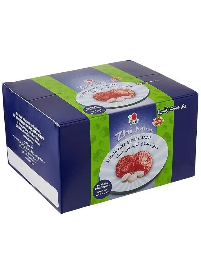 DXN Zhi Mint Plus Pack of 12 - Image 1