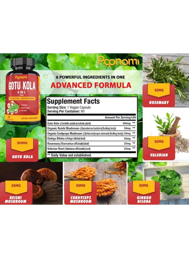 Papnami Organic Gotu Kola Extract Capsules with Reishi, Cordyceps, Rosemary, Gingko Biloba & Valerian Root - 90 Counts for 3 Months - Supports Brain, Immunity, Skin & Heart Health - Image 2