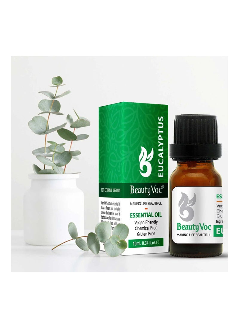BEAUTY VOC Pure Eucalyptus Oil, Extracted from the Finest Eucalyptus Leaves for Enhanced Respiratory Clarity, Soothing Muscle Relief with a cooling sensation, 10ml  - Image 3