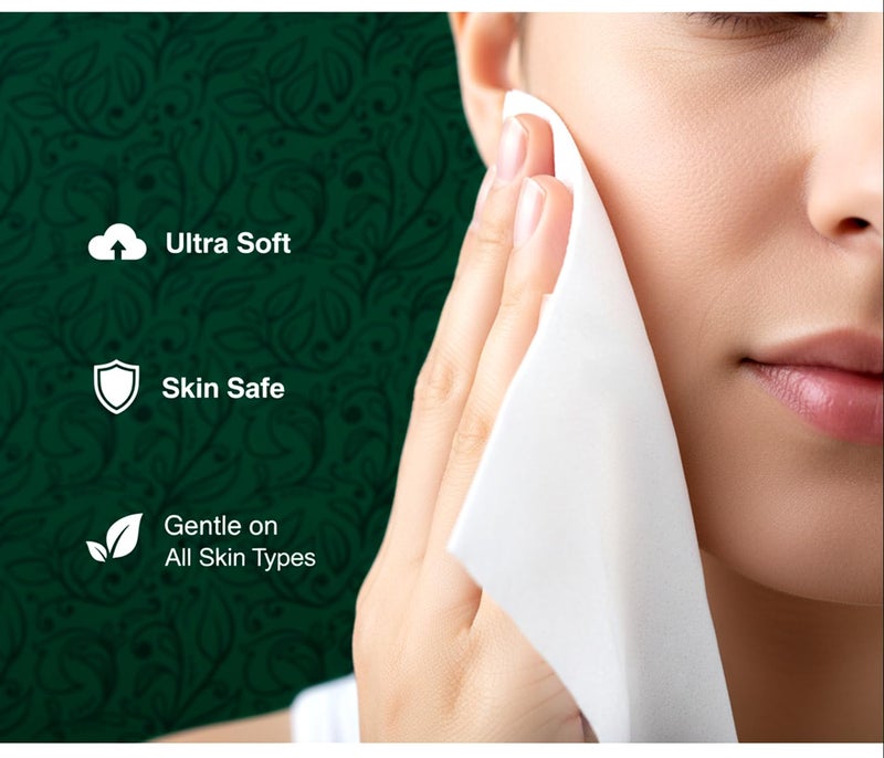 Biogreen 2-Ply Facial Tissue, 320 Pulls (80 Pulls Per Box, Pack of 4) | 100% Natural Virgin Paper, Soft & Absorbent | For Home, Office, Car & Travel | Skin-Friendly Face Tissues for Adults & Children - Image 2