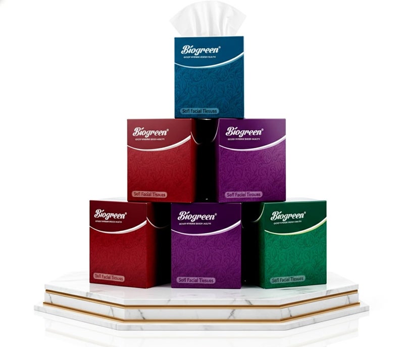 Biogreen 2-Ply Facial Tissue, 320 Pulls (80 Pulls Per Box, Pack of 4) | 100% Natural Virgin Paper, Soft & Absorbent | For Home, Office, Car & Travel | Skin-Friendly Face Tissues for Adults & Children - Image 1