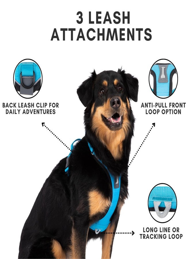 ShawnCo Basecamp Dog Harness, No-Pull Pet Vest with 3 Leash Clips, Padded, Reflective, Lightweight and Adjustable Harness with Handle for Small, Medium and Large Dogs (Oceanic Blue, S) - Image 3