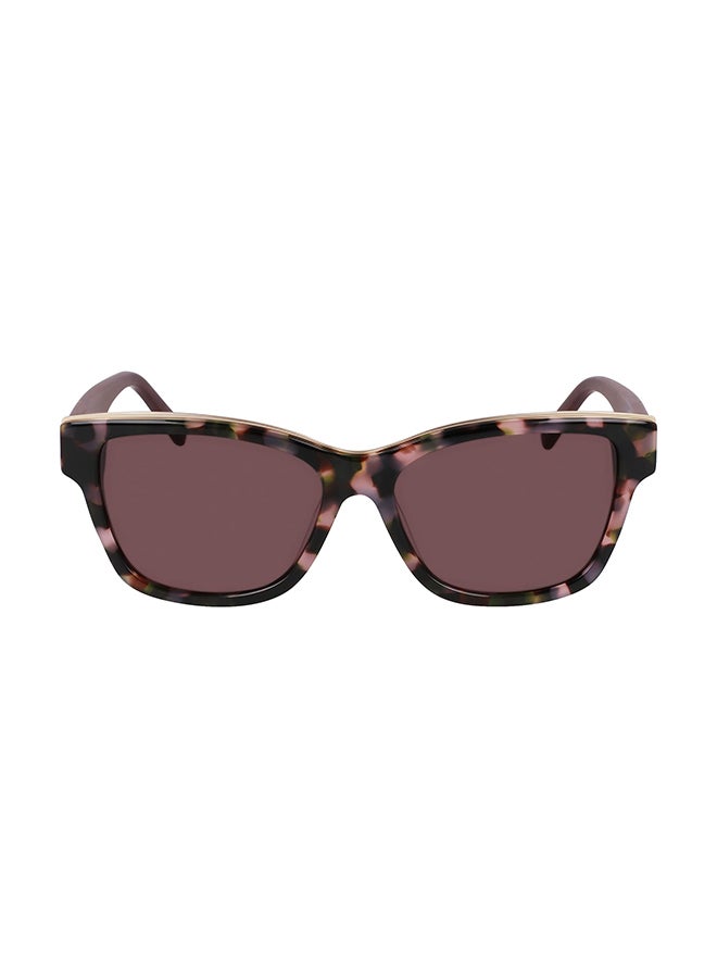 DKNY Full Rim Acetate Cat Eye Sun Dk549S (V3) Suede - Image 1