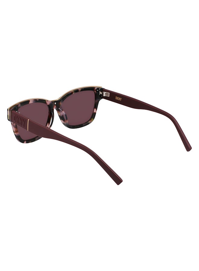 DKNY Full Rim Acetate Cat Eye Sun Dk549S (V3) Suede - Image 5