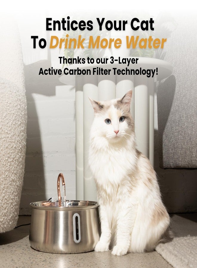 نافورة مياه للقطط من الفولاذ المقاوم للصدأ من كيتي سباوت، نافورة شرب أوتوماتيكية، وعاء مياه هادئ يدور، آمنة للغسل في غسالة الأطباق، نافورة داخلية للحيوانات الأليفة لترطيب القطط الصحية (ستانلس ستيل، 4 لترات، سلكية) - Image 5