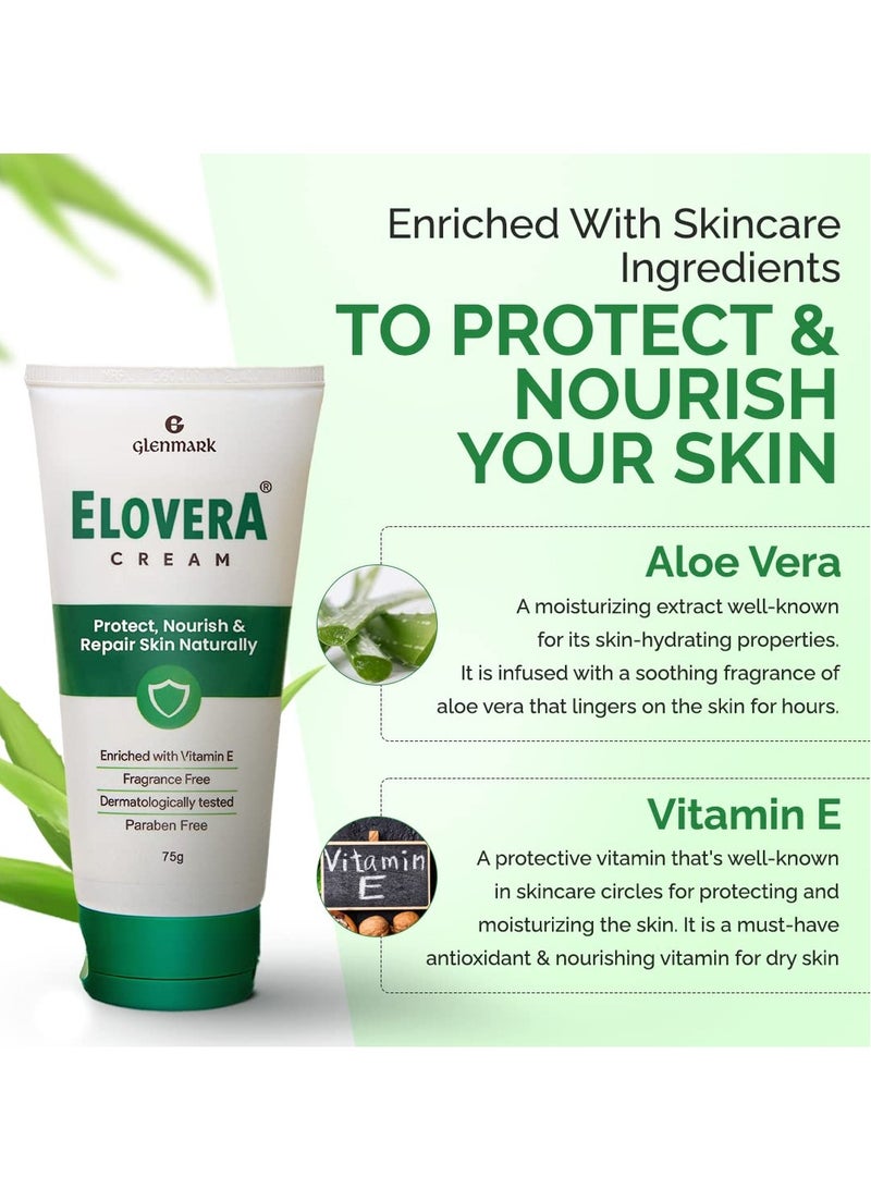Elovera Elovera Daily Moisturising Cream for Dry Skin with Aloe Vera Vitamin E Protects Nourishes and Repairs the Skin Reduces Scars 75G - Image 4
