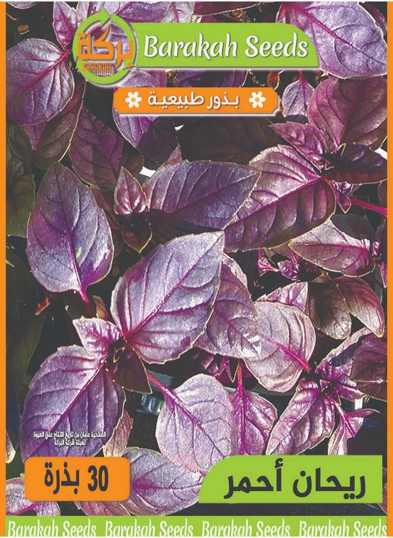 Generic High germination rate seeds - red basil 