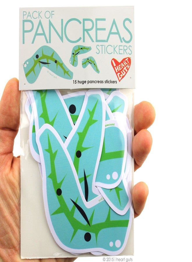 I Heart Guts Pack of Pancreas Stickers - 15 Pancreas Stickers - Cute and Educational Vinyl Stickers for Diabetics, Endocrinology Gifts, or Sweet Pancreas Humor - Image 4