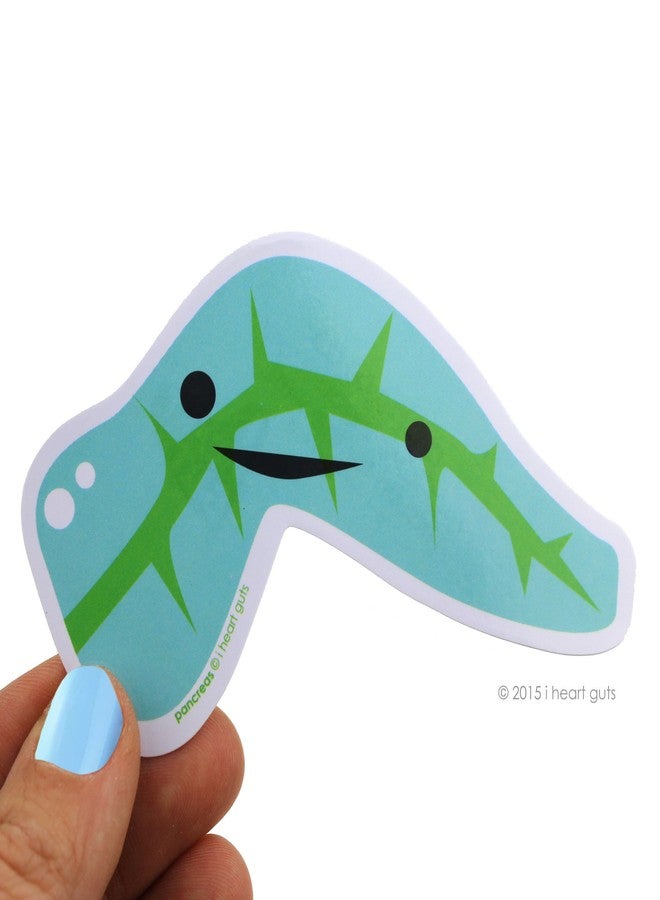 I Heart Guts Pack of Pancreas Stickers - 15 Pancreas Stickers - Cute and Educational Vinyl Stickers for Diabetics, Endocrinology Gifts, or Sweet Pancreas Humor - Image 2