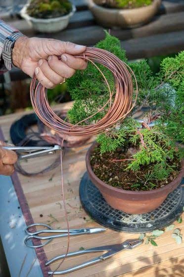 Glopro 30Mtr / 102ft Bonsai Aluminium Wire Anodized Pack of 3 (1mm 1.5mm 2mm - 10m Each) - Image 4