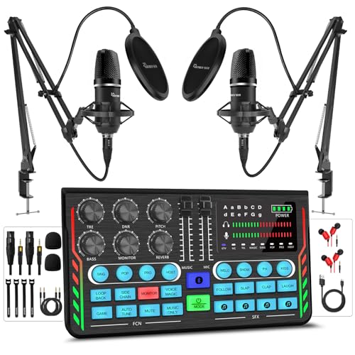 Hayner-Seek Podcast Equipment Bundle for 2, DJ Mixer with 3.5mm Diaphragm Condenser Microphone for Live Streaming, Podcast Recording,Gaming, Youtube, TikTok, PC, Smartphone - Image 1