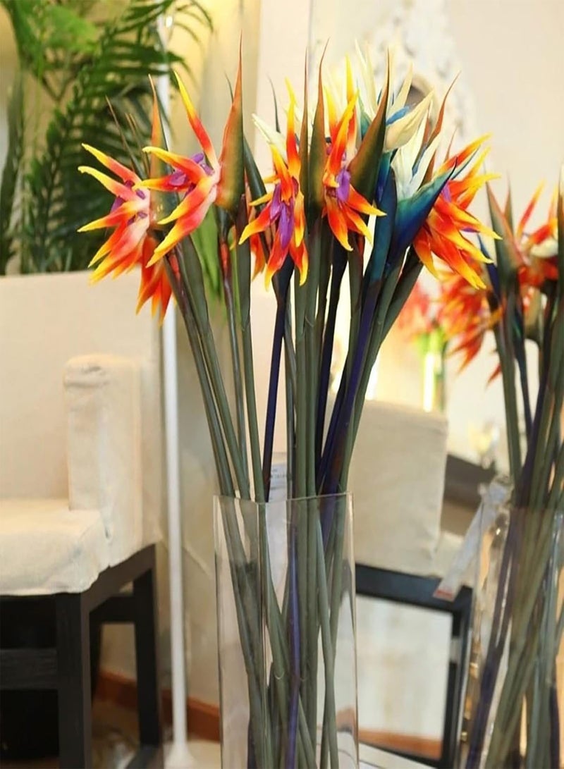 GGOOT 30Pcs/Bag Flower seeds High Germination Beautiful Fresh Fast Growing Flower Bonsai seeds Garden Supplies Orange - Image 5