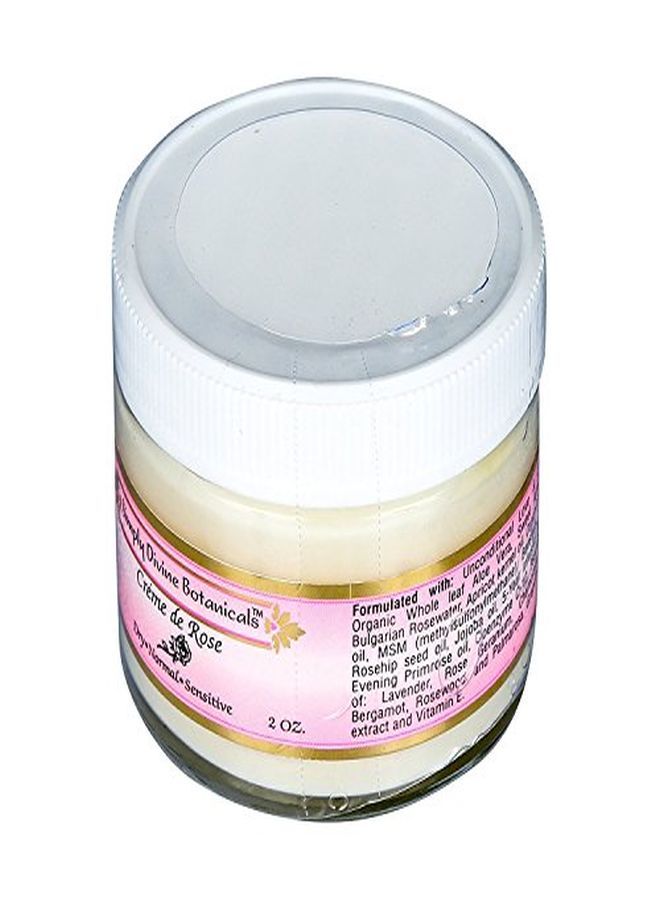 Simply Divine Botanicals Acial Moisturizer 2 Oz By Simply Divine Botanicals - Image 1