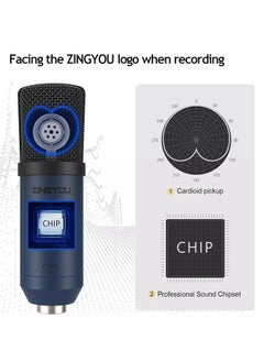 ZY-UA2 USB Condenser Cardioid Microphone Kit , 96KHz/24Bit Plug & Play for PC Recording, Gaming, Live Streaming, Voice Over, YouTube, Twitch,with Upgraded Boom Arm, - pzsku/Z0191BFBE0A20A3914404Z/45/_/1719908968/e8045552-a4a4-4632-b54e-a335b9a7a29b