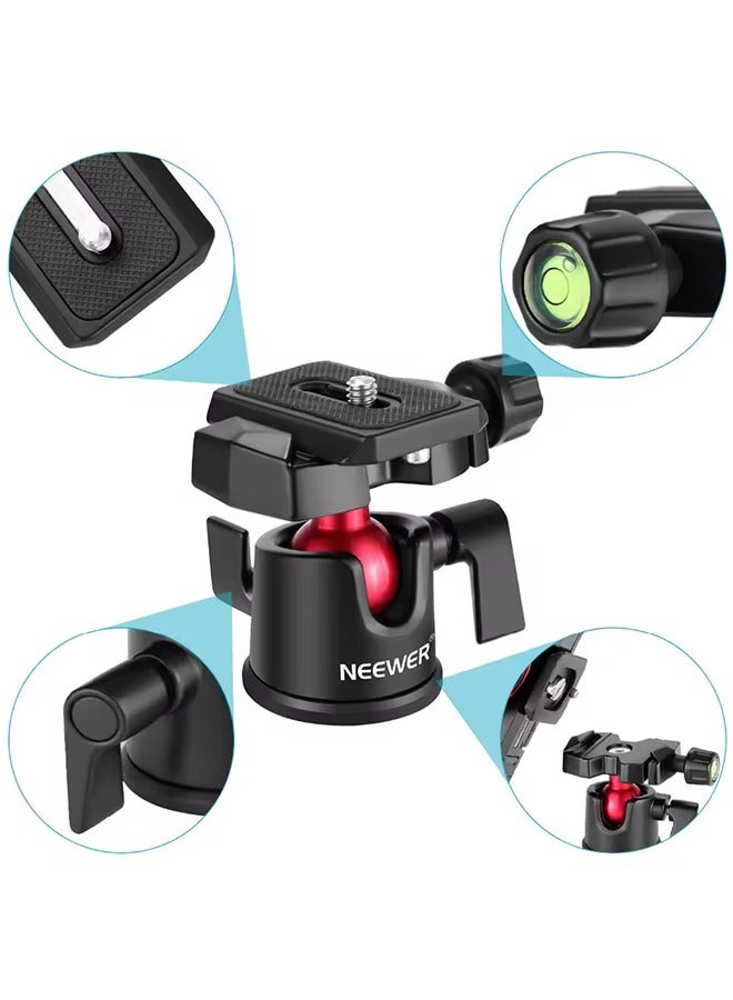 NEEWER Camera Tripod Head Ball Head 360° Rotating Panoramic with 1/4 Arca Type Quick Plate and Bubble Level - Image 2