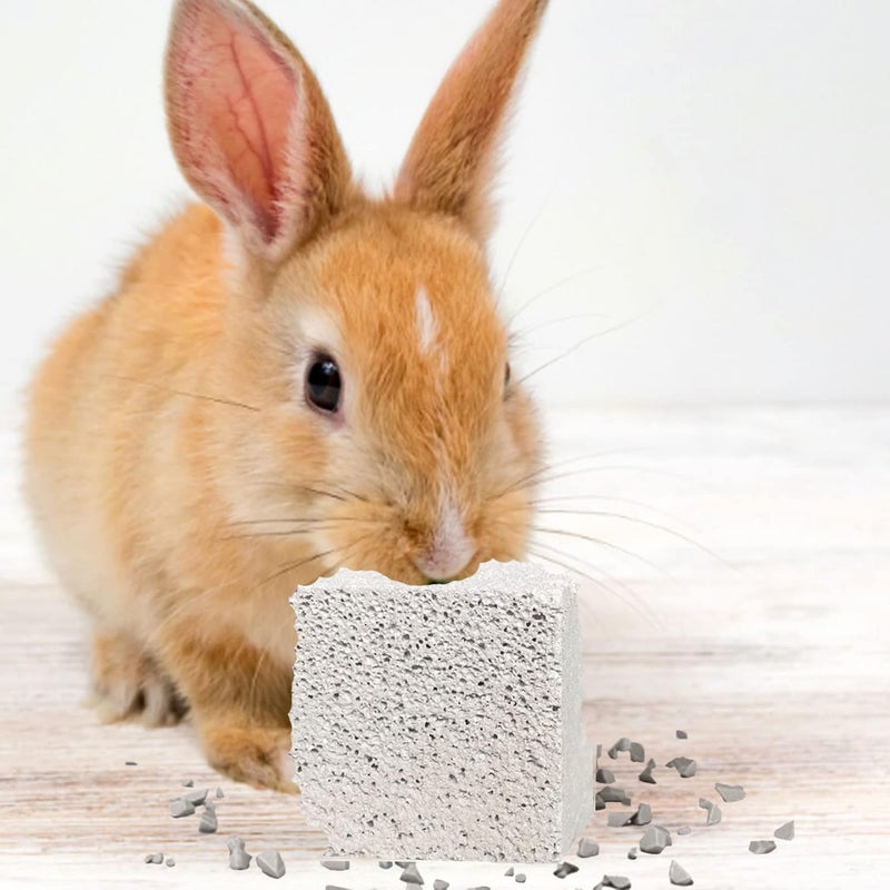 kathson Hamster Lava Blocks,Rabbit Grinding Teeth Toys,Natural Mineral Calcium Stone Chews Toy,Suitable for Chinchillas Small Rodents (15 PCS) - Image 4