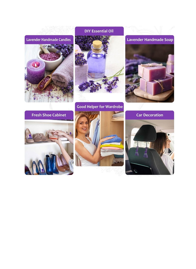 Lavande Sur Terre - Bag of 12 Sachets Dried Lavender Flower Lavender Sachets for Drawers and Closets - Image 1