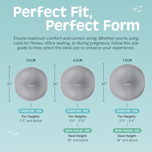 Retrospec Luna Exercise Ball with Pump - Anti-Burst Fitness Equipment for Yoga, Core Training & Stability - Home Gym Swiss Ball for Office & Pregnancy - Image 5