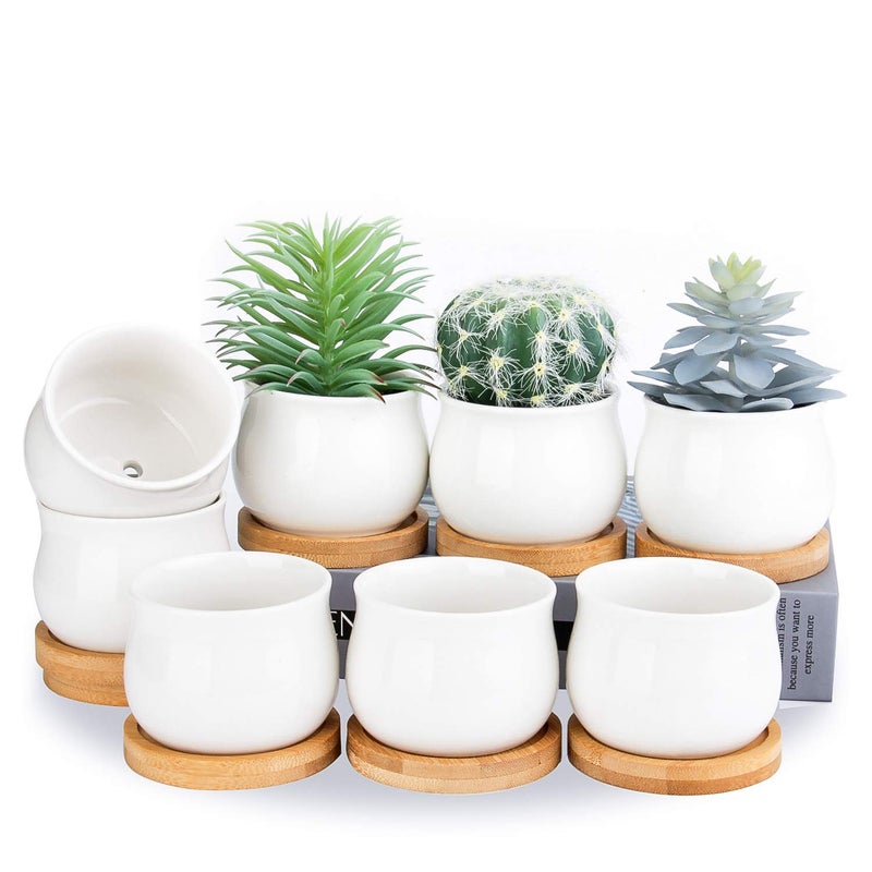 SHECIPIN Succulent Plant Pot White Mini 26 inch Ceramic Flower Planter Pot with Bamboo Tray Pack of 8  Plants Not Included