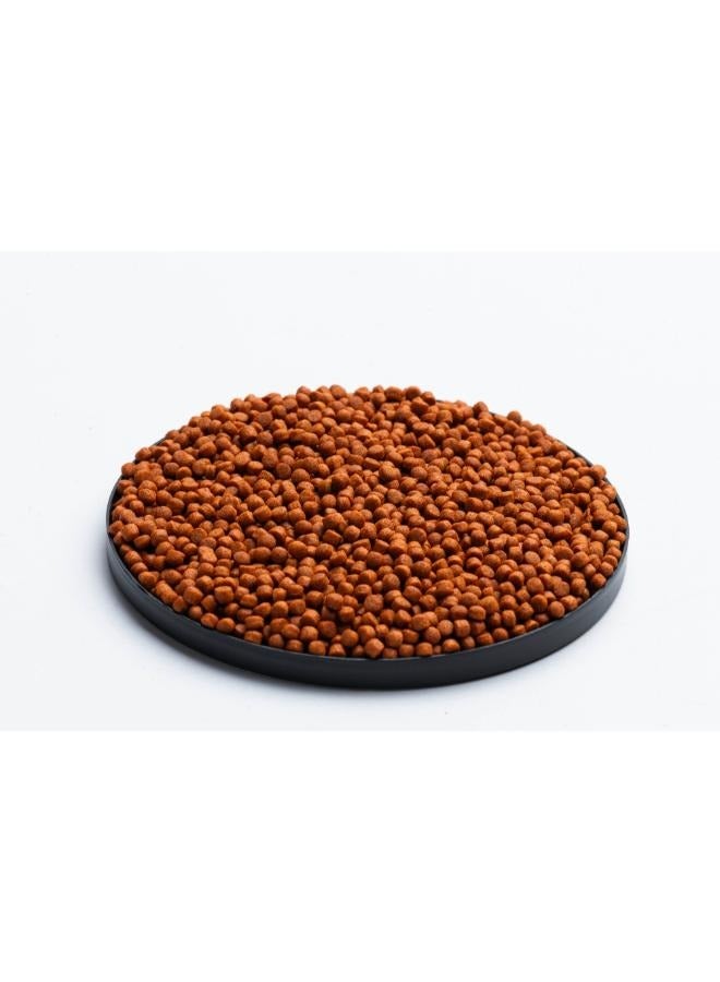 Red Parrot Fish Food 380g Natural Color Enhancing - Image 4