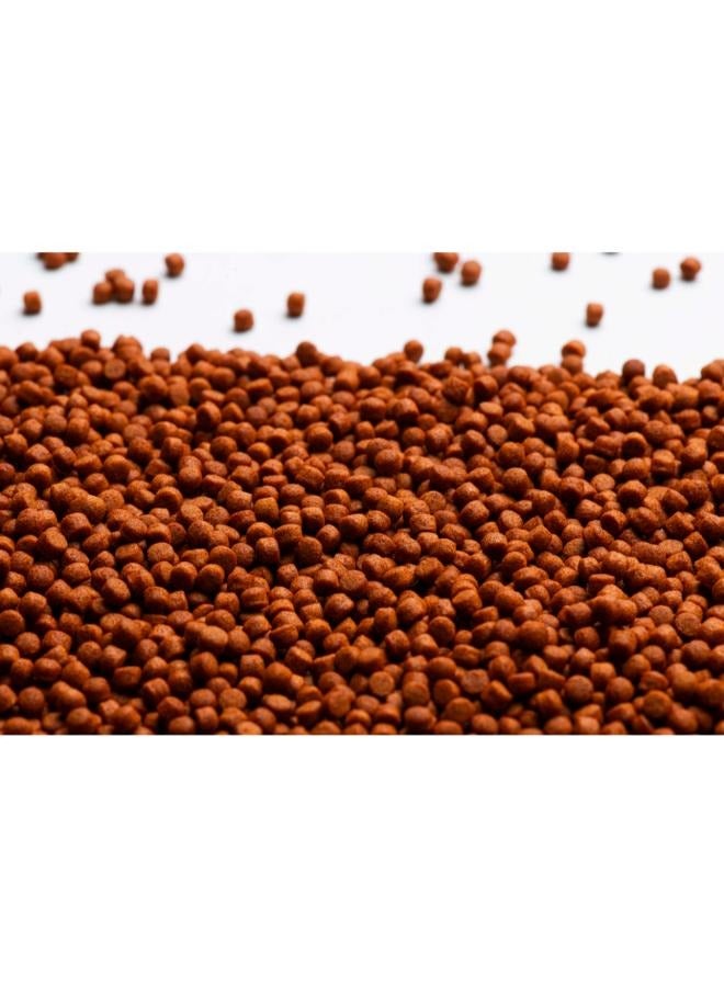 Red Parrot Fish Food 380g Natural Color Enhancing - Image 5