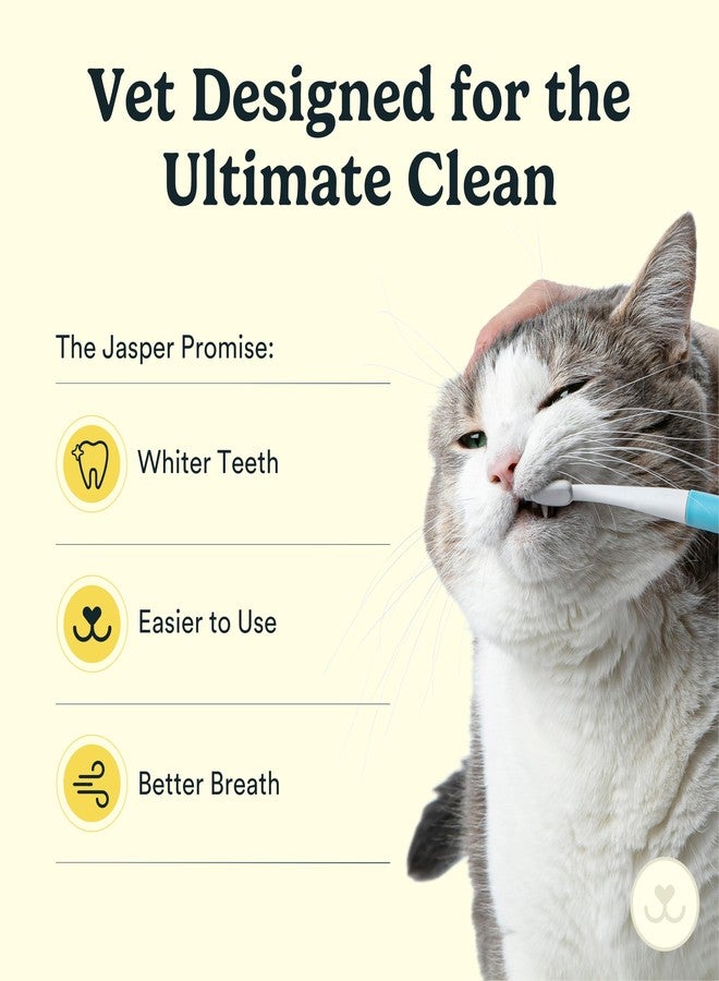 Jasper Microbrush Vet Approved Cat Toothbrush, Soft-Bristled Toothbrush Kit for Felines & Small Dogs, Non-Slip Handle, Tooth Brush Heads, Use with Cat Toothpaste, 4-Pack Blue - Image 4