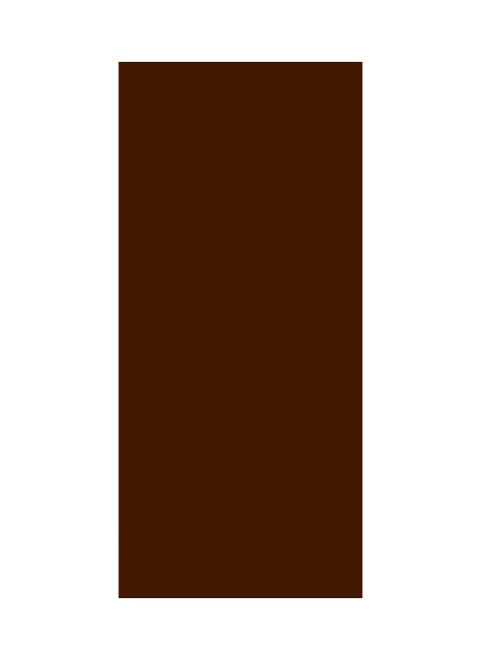 Nest "NEST BROWN Spray Paint - 400ml, Multipurpose, Fast Drying, High Gloss Finish  - Image 3