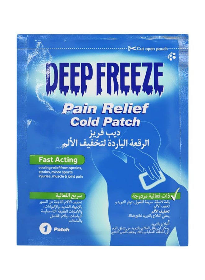 DEEP DREEZE Pain Relief Cold Patch 1'S