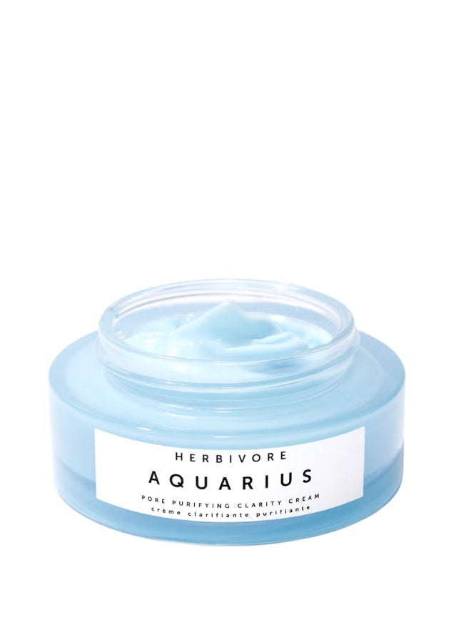 هيربافور كريم تنقية وتنقية المسام من هيربيفور أكواريوس - Image 3