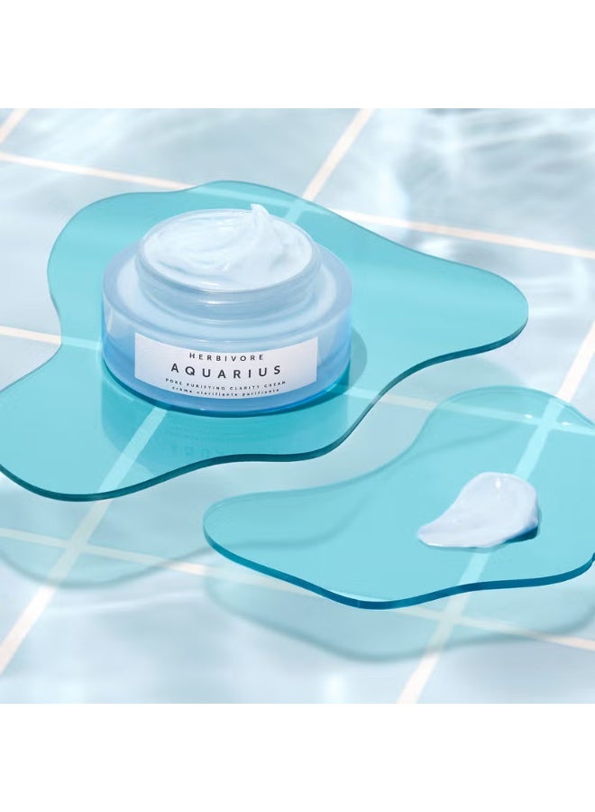 هيربافور كريم تنقية وتنقية المسام من هيربيفور أكواريوس - Image 4