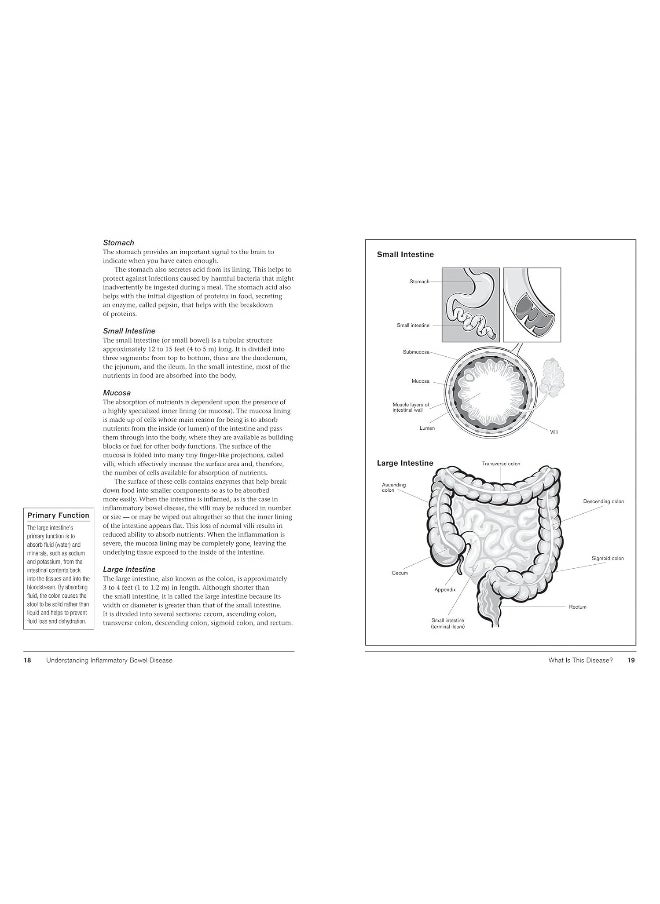 Crohn's and Colitis: Understanding and Managing Ibd  - Image 4