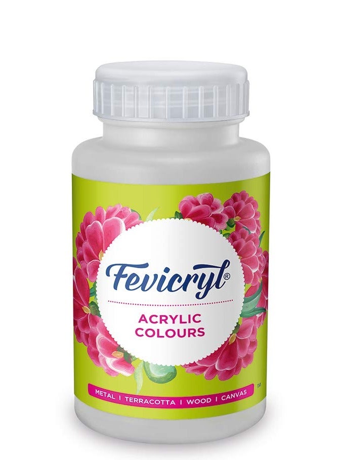 Fevicryl Acrylic Colour White acrylic paint 500 ml Art and Craft Paint DIY Paint Rich Pigment Non Craking Paint for Canvas Wood Leather Earthenware Metal Diwali gifts acrylic paint - Image 1