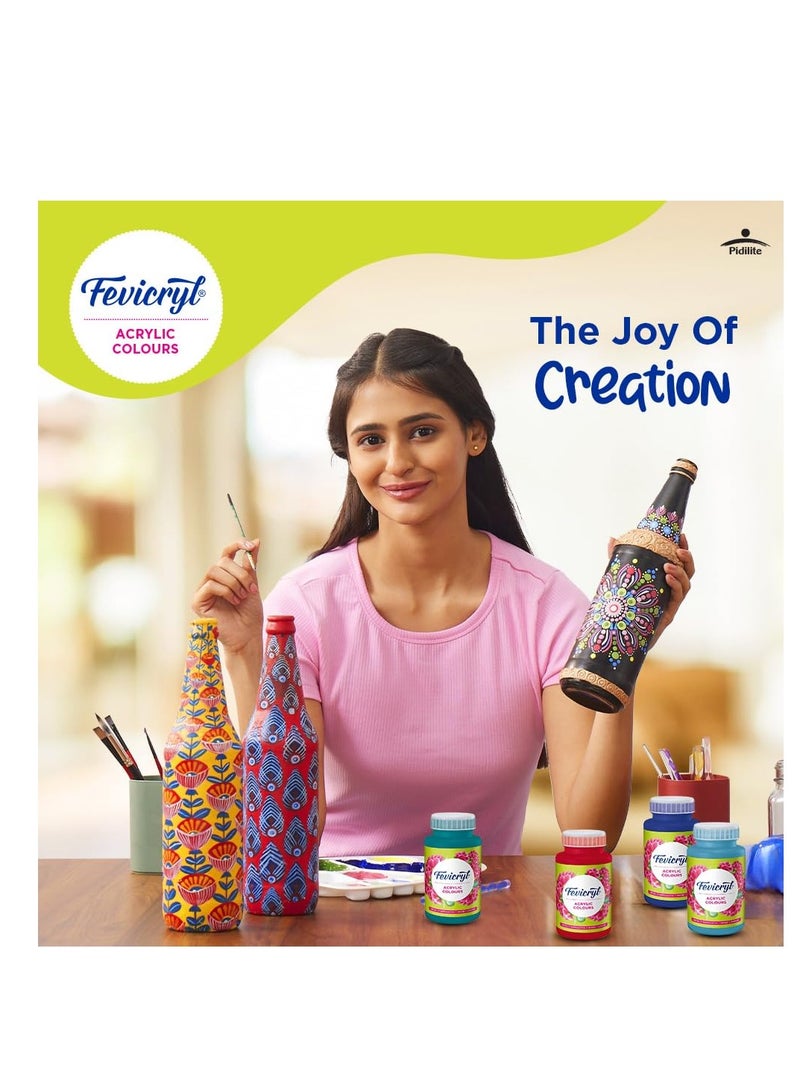 Fevicryl Acrylic Colour White acrylic paint 500 ml Art and Craft Paint DIY Paint Rich Pigment Non Craking Paint for Canvas Wood Leather Earthenware Metal Diwali gifts acrylic paint - Image 2