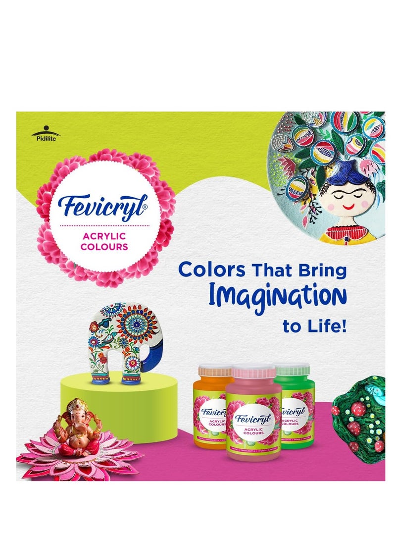 Fevicryl Acrylic Colour White acrylic paint 500 ml Art and Craft Paint DIY Paint Rich Pigment Non Craking Paint for Canvas Wood Leather Earthenware Metal Diwali gifts acrylic paint - Image 3