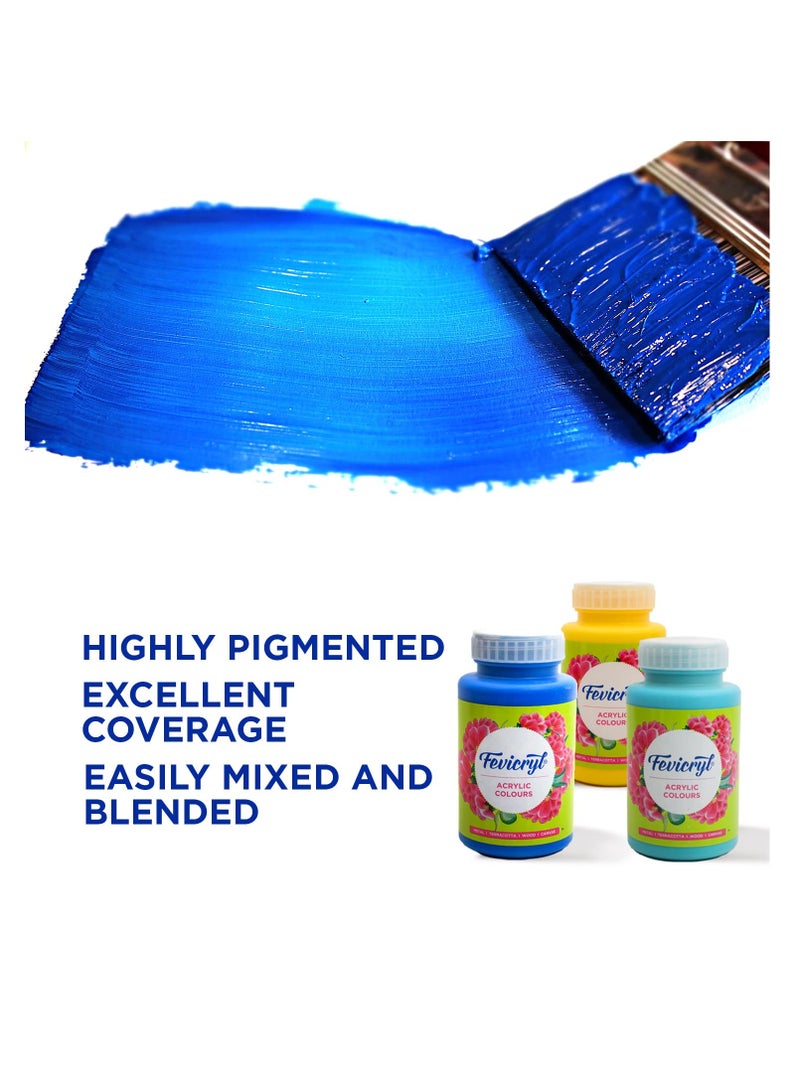 Fevicryl Acrylic Colour White acrylic paint 500 ml Art and Craft Paint DIY Paint Rich Pigment Non Craking Paint for Canvas Wood Leather Earthenware Metal Diwali gifts acrylic paint - Image 5