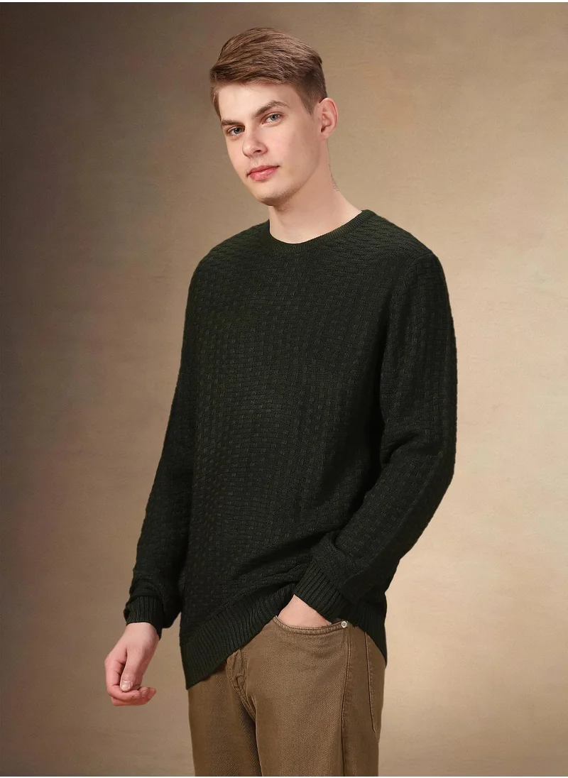 دينيس لينغو Men's Olive 100% Acrylic Solid Regular Fit Sweater