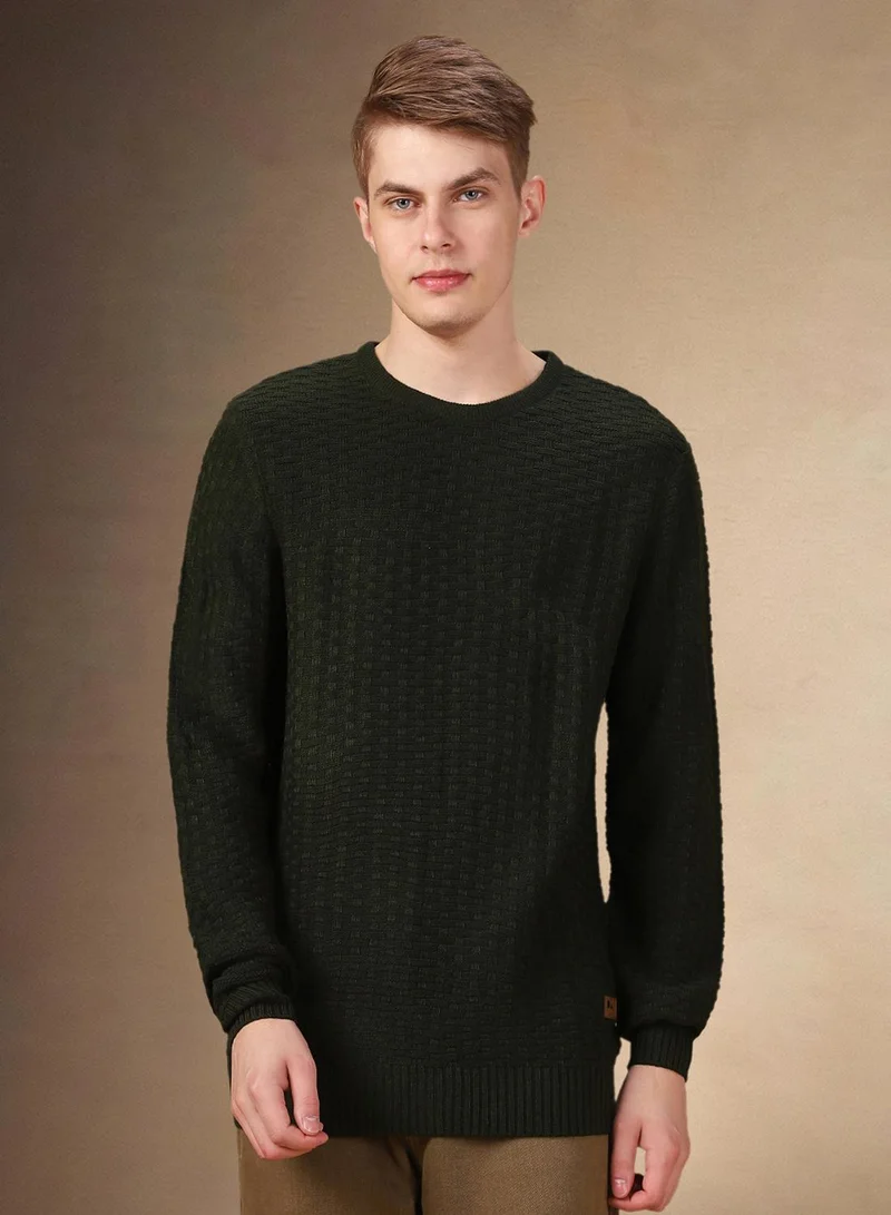Dennis Lingo Men's Olive 100% Acrylic Solid Regular Fit Sweater