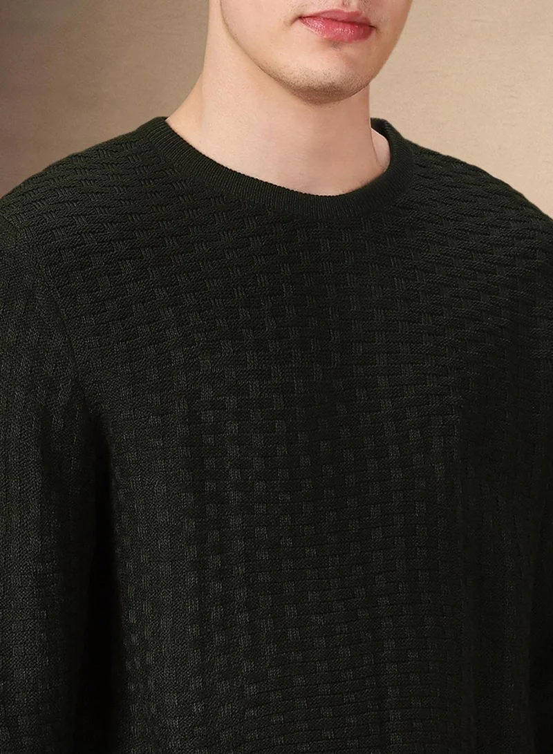 Dennis Lingo Men's Olive 100% Acrylic Solid Regular Fit Sweater