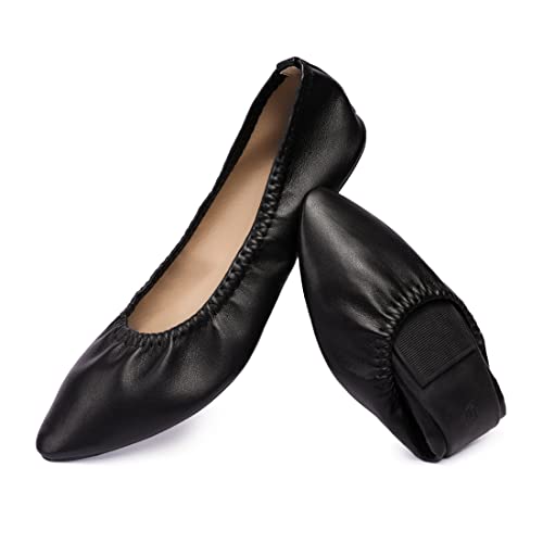 LM Women's Ballet Flat Slip On Pointed Toe Flats Shoes Classic Casual Dress Shoes Foldable Portable Travel Walking Shoes (8, Black) - Image 1
