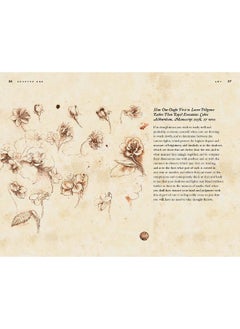 The Notebooks of Leonardo Davinci  - Image 3