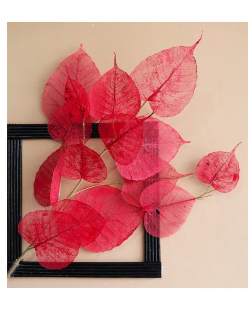 JOYNAGAR Handmade Natural Peepal Leaf Skeleton | Eco-Friendly Home Decor | 100 Pcs | 4-6 Inch | Unique Wall Art | Sustainable Crafts | Indian Traditional Artwork (Red) - Image 5