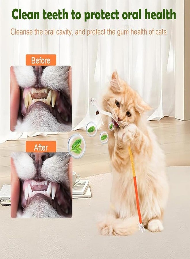 SLAUNT SLATUNT 3 PCS Cotton Rope Cat Chew Toy Contains Natural Gall Fruit 27.5in Indoor Kitten Chew Rope Interactive Cat Toy Sturdy Chewing Ropes，Cats String Safe Teeth Cleaning Toy - Image 4