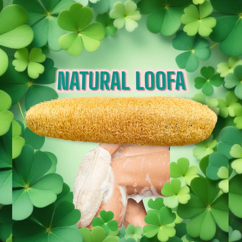 Natural Dried Loofah Sponge for Body Exfoliation and Scrubbing, Pack of 5 - Image 4