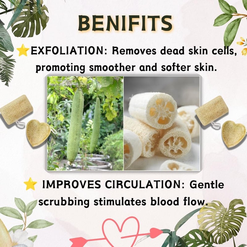 Natural Dried Loofah Sponge for Body Exfoliation and Scrubbing, Pack of 5 - Image 5